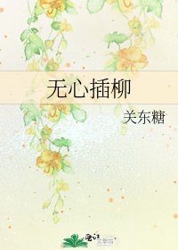 《无心插柳》