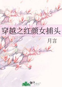 《穿越之红颜女捕头》