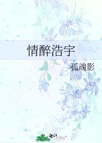 《情醉浩宇》