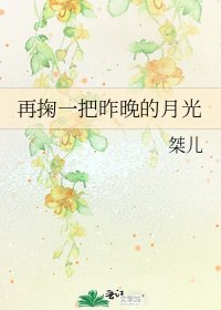 《再掬一把昨晚的月光》
