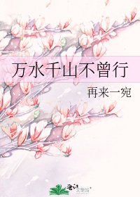 万水千山不曾行