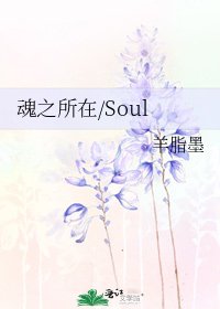 《魂之所在/Soul》