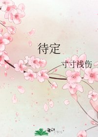 《待定》