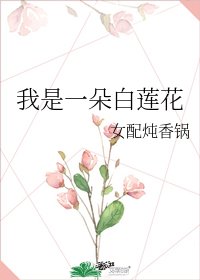 《我是一朵白莲花》