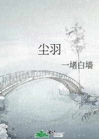 《尘羽》