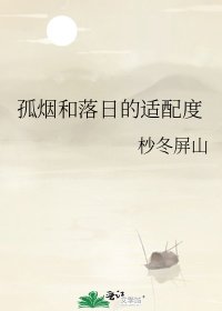 《孤烟和落日的适配度》