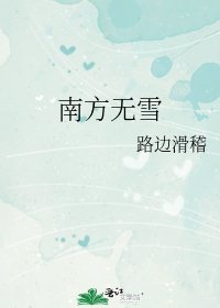 《南方无雪》