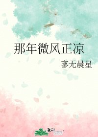 《那年微风正凉》