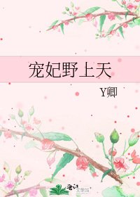 《宠妃野上天》