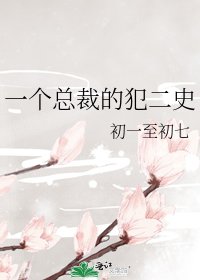 《一个总裁的犯二史》