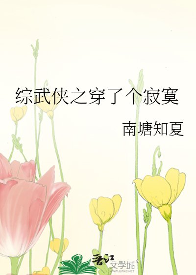 《综武侠之穿了个寂寞》