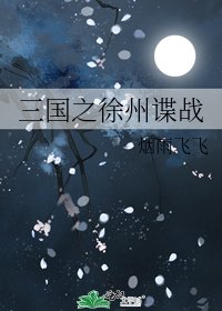 三国之徐州谍战