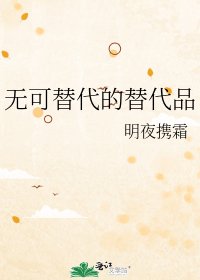 《无可替代的替代品》