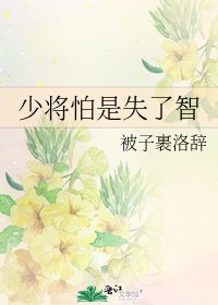少将怕是失了智