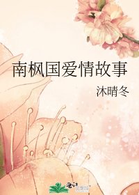 《南枫国爱情故事》