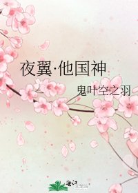 《夜翼·他国神》