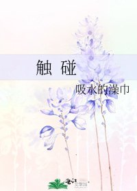 《触 碰》