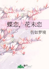 《蝶恋,花未恋》