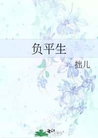 《负平生》