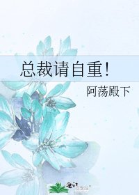 总裁请自重！