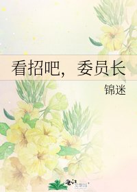 看招吧，委员长