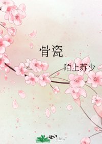 《骨瓷》