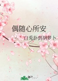 《偶随心所安》