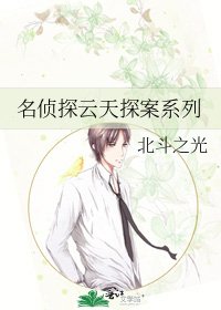 《名侦探云天探案系列》