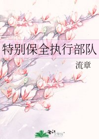 《特别保全执行部队》