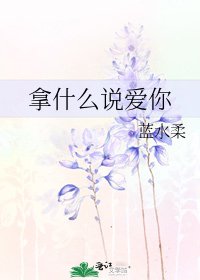 《拿什么说爱你》