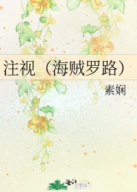 《注视(海贼罗路)》