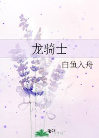 《龙骑士》