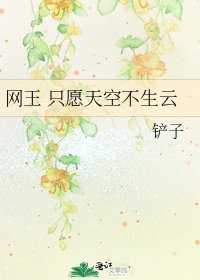 《网王 只愿天空不生云》