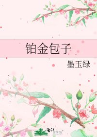 《铂金包子》