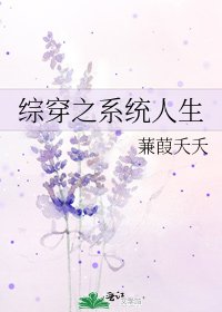 综穿之系统人生
