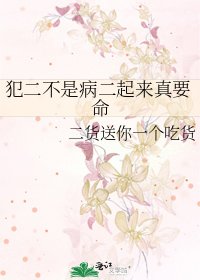 《犯二不是病二起来真要命》