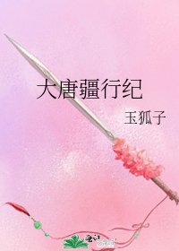 《大唐疆行纪》
