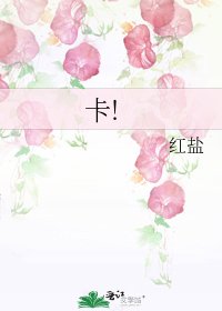 《卡!》