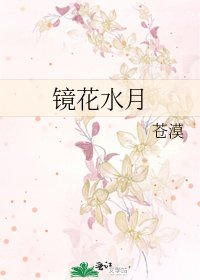 《镜花水月》