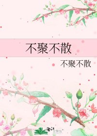 不聚不散