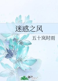 《迷惑之风》