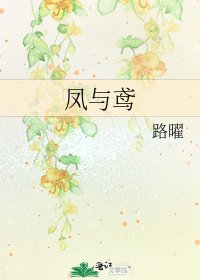 《凤与鸢》