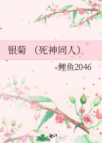 《银菊 (死神同人)》