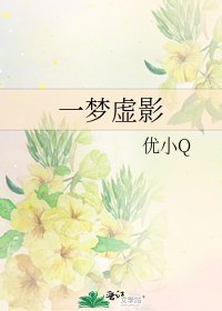 《一梦虚影》