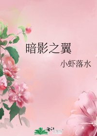 《暗影之翼》