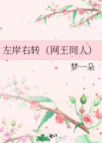 《左岸右转(网王同人)》
