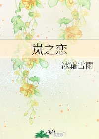 岚之恋