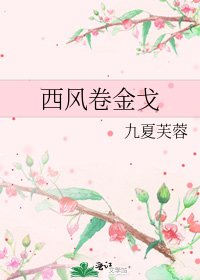 西风卷金戈
