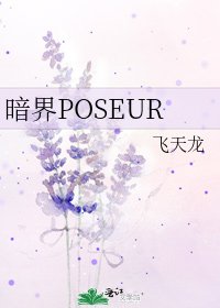 《暗界POSEUR》