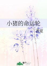 小猪的命运轮